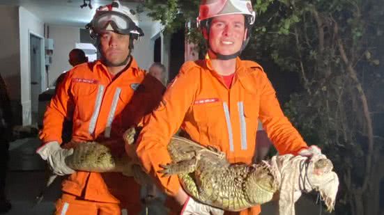 Divulgação/Bombeiros