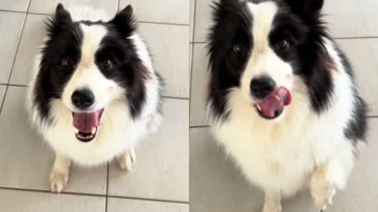 Reprodução / Redes sociais