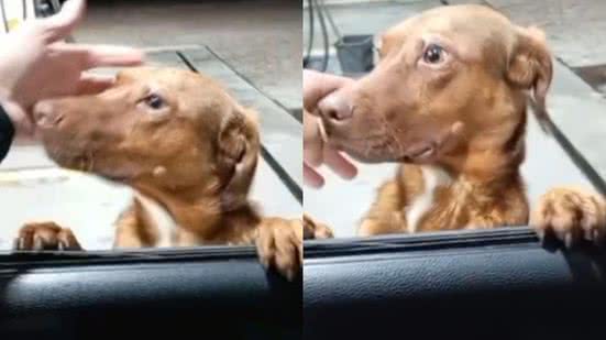 Reprodução / Redes sociais