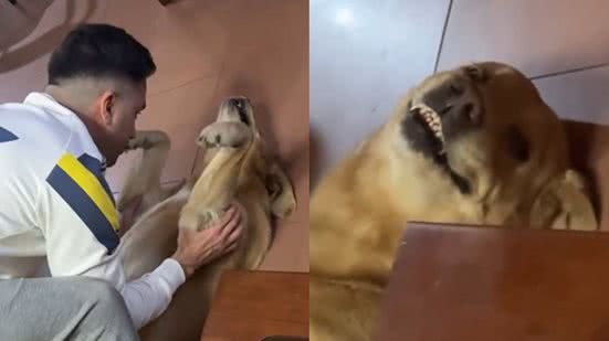 Reprodução / Redes sociais
