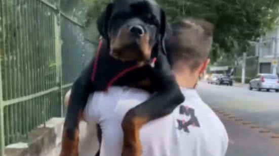 Reprodução / Redes sociais