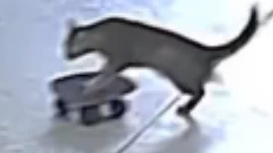 Reprodução / Redes sociais