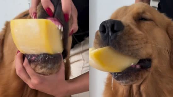 Reprodução / Redes sociais