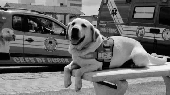 Foto: Corpo de Bombeiros Militar SC