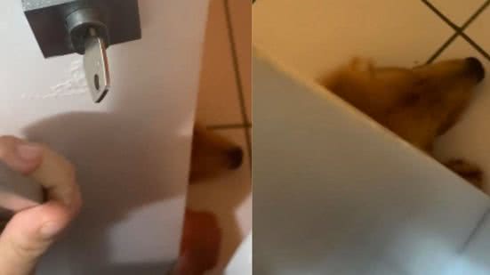 Reprodução / Redes sociais