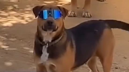 Reprodução / Redes sociais