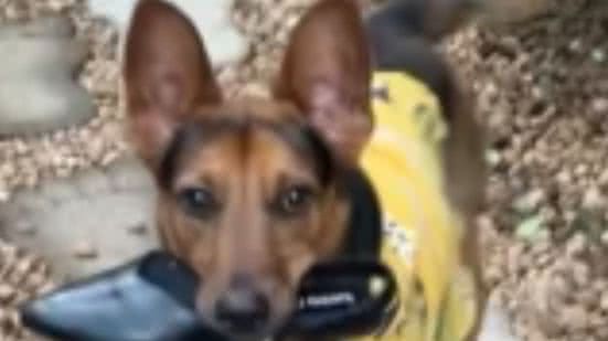 Reprodução / Redes sociais