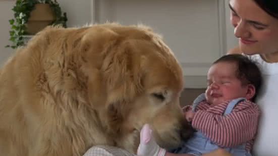 Reprodução / Redes sociais