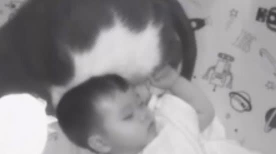 Reprodução / Redes sociais