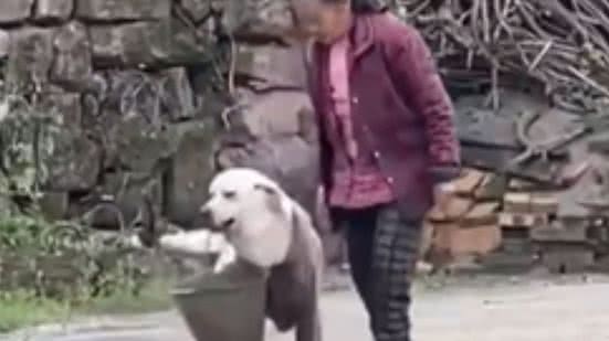 Reprodução / Redes sociais