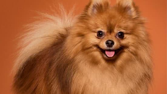 Ilustrativa / FreePik