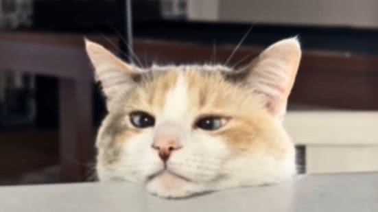 Reprodução / Redes Sociais