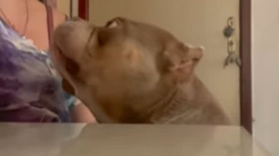 Reprodução / Instagram