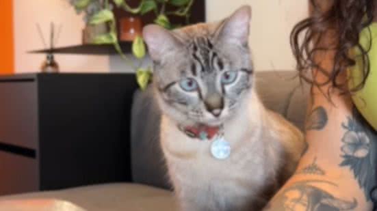 Reprodução / Redes sociais