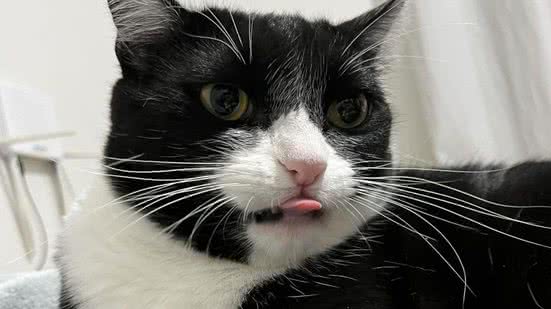 Reprodução / Redes sociais