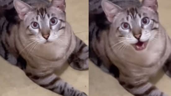 Reprodução / Instagram