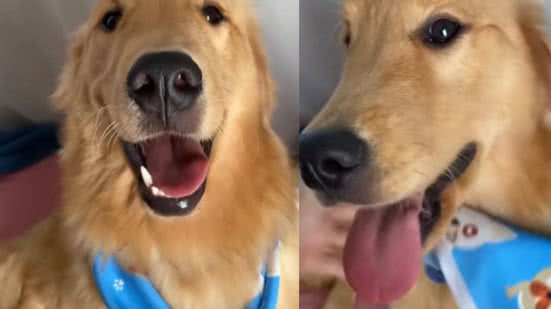 Reprodução / Instagram