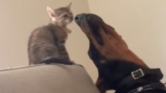 Reprodução / Instagram