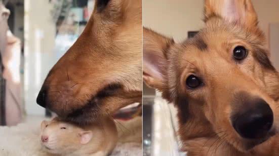 Reprodução / Instagram