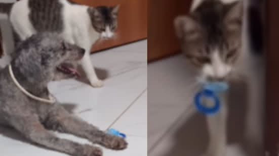 Reprodução / Instagram