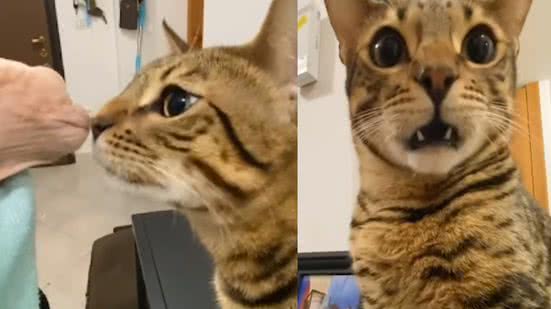 Reprodução / Instagram