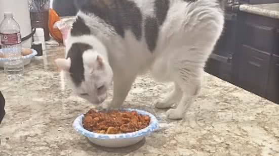 Reprodução / Instagram