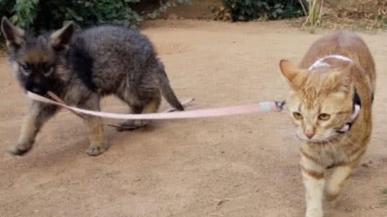 Reprodução / Instagram