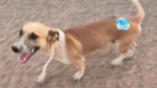 Reprodução / Redes sociais