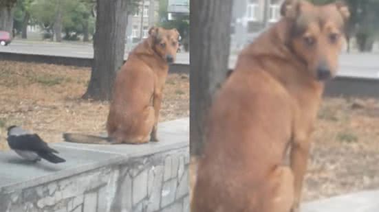 Reprodução / Instagram