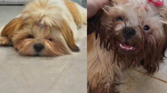 Reprodução / Instagram