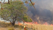 O último sábado (13) completou 30 dias de combate a incêndio na Serra do Cipó, no oeste da Bahia. - Reprodução/Corpo de Bombeiros da Bahia