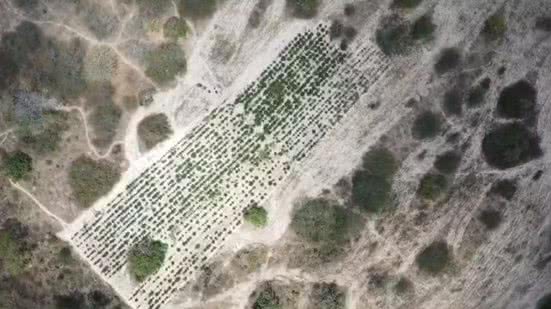 Reprodução MP Alagoas