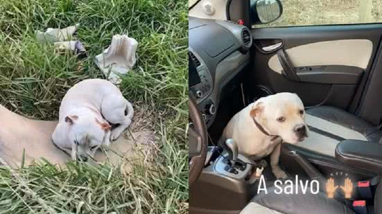 Reprodução | Redes Sociais