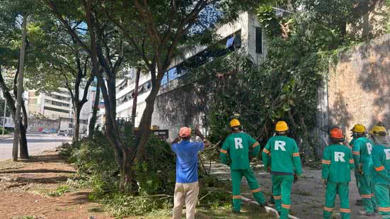Dandara Amorim | BNews