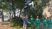 Dandara Amorim | BNews