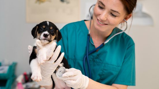 Reprodução / Freepik