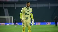 Raphael Silvestre/Guarani FC