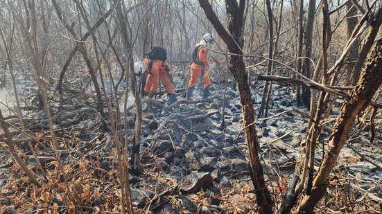 Divulgação/Corpo de Bombeiros