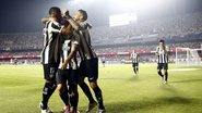 Vitor Silva/Botafogo