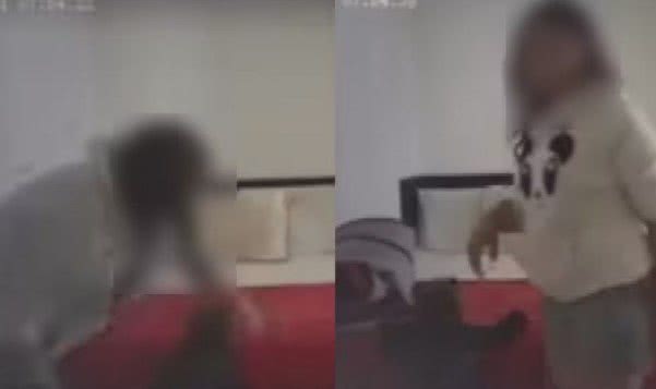 Reprodução / Internet