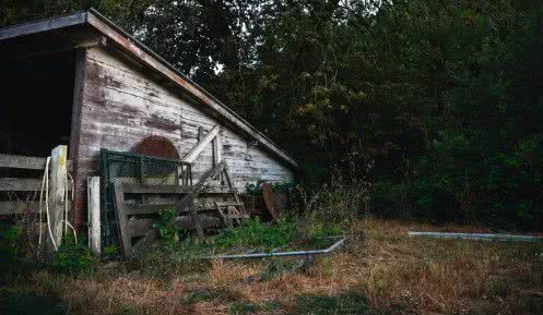 Divulgação / Freepik