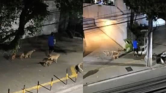 Divulgação
