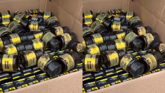 Reprodução/ Vídeo