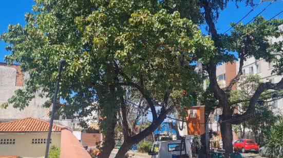 Reprodução/Redes sociais