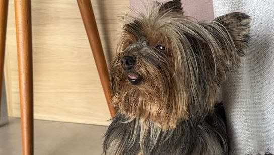 Reprodução / Instagram
