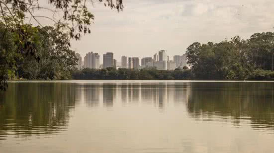 Divulgação / Pixabay