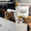 Cachorro \u0022canta\u0022 parabéns pra você para turor e vídeo viraliza\u003B confira