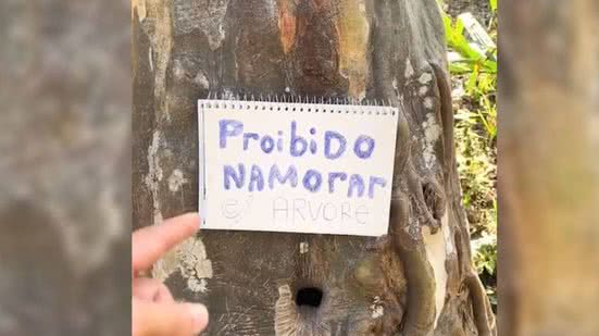 Reprodução Tik Tok
