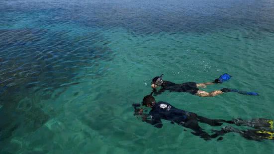 Imagem Ilustrativa - Fernando Frazão/Agência Brasil