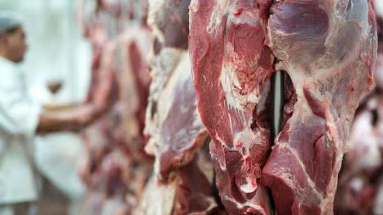 Divulgação / Freepik